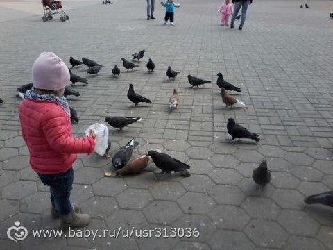просто мы!
