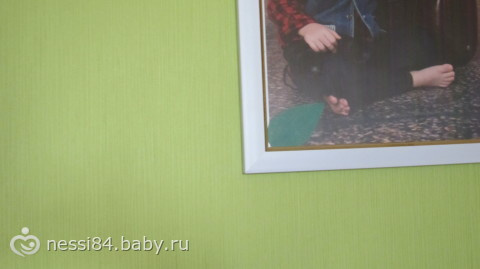 Австралия птицы