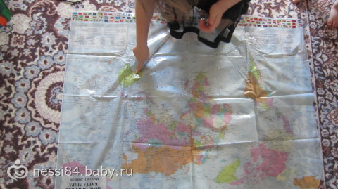 Австралия птицы