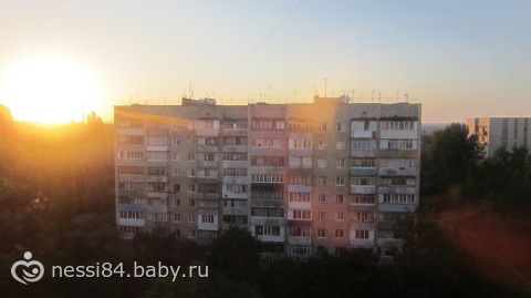 неделька на тему морских обитателей