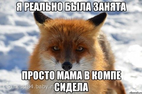 марафон. мой день