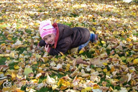 Одна будничная прогулка в фотографиях