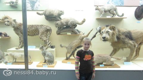 Каникулы, каникулы...