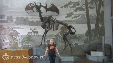 Каникулы, каникулы...