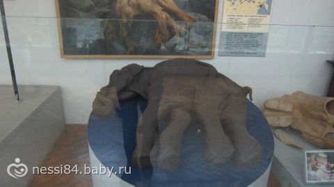 Каникулы, каникулы...