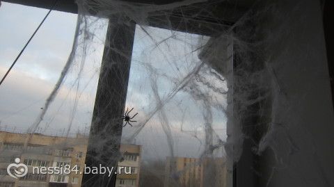 Каникулы, каникулы...