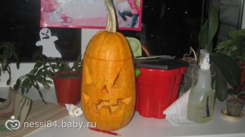 Каникулы, каникулы...