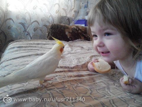 Привет :)