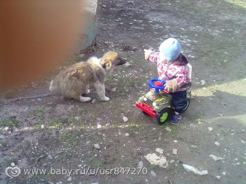 Привет от Алиханчика!