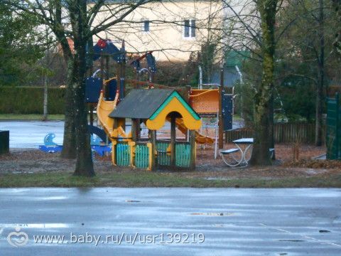 Школа, ясли и коты