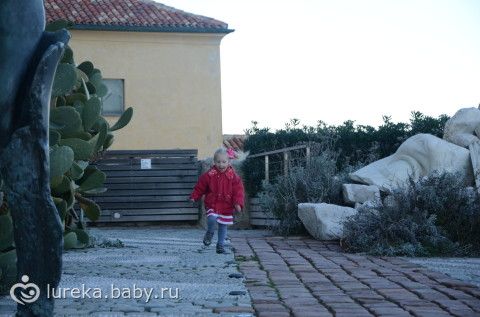 Просвещаемся в гостях у Пикассо.
