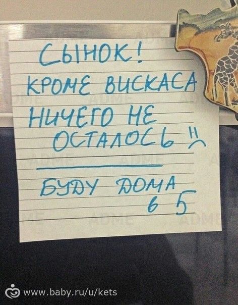 Смешные записки))