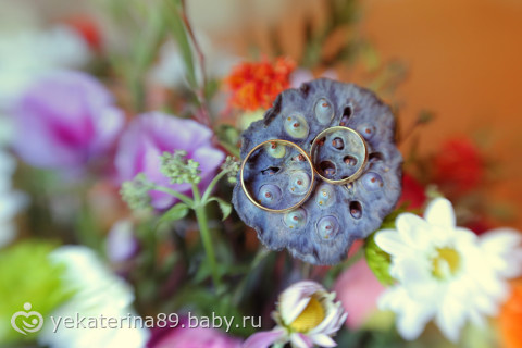 11. окт
