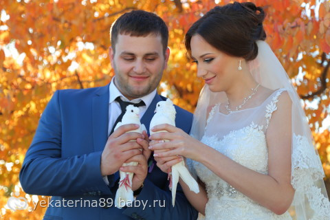 11. окт