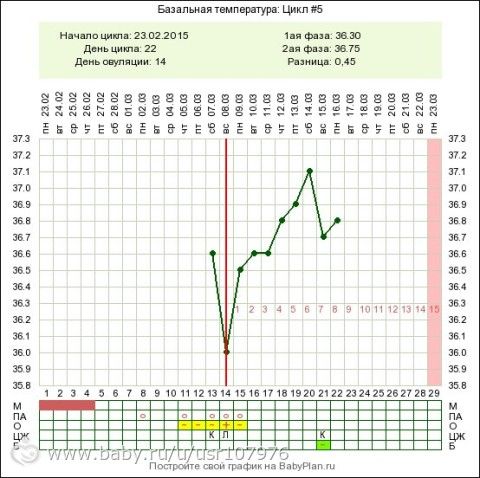 Цикл 36. 9 День цикла базальная температура 36.6. Базальная температура 36.4 задержка. Базальная температура днем на 26 день цикла. Базальная температура на 19 день цикла.