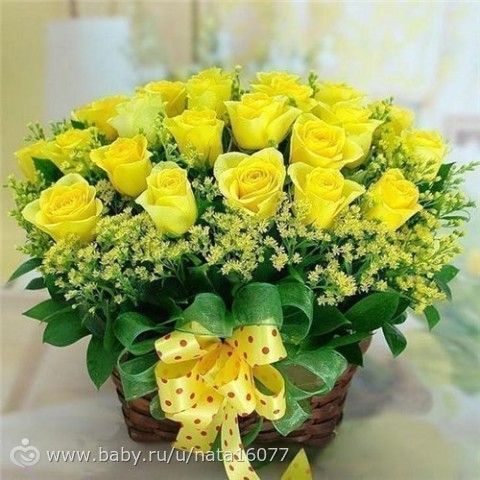 Цыпочка наша родила!!