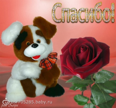 Осенний сюрприз!!!(Акция к 1 сентября)