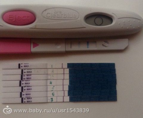 Тесты на О и беременность, уровень хгч и полоски