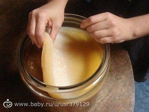 ЧАЙНЫЙ ГРИБ - АНТИБИОТИК ИЗ БАНКИ . КАК ВЫРАСТИТЬ С НУЛЯ САМОСТОЯТЕЛЬНО .