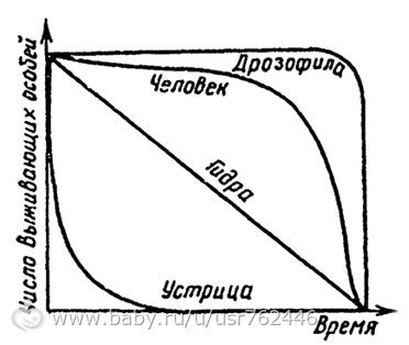 Чисто биологически