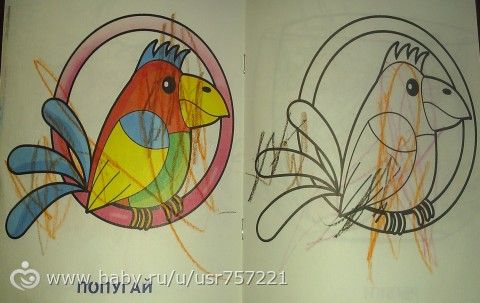 ТН &quot;Домашние питомцы&quot; сайта «Растем и развиваемся вместе с мамой» (день 4)