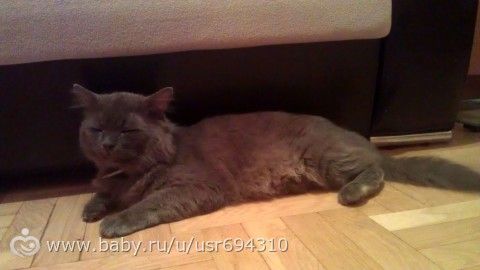 31 неделька и, как всегда, фотки и многое другое!)