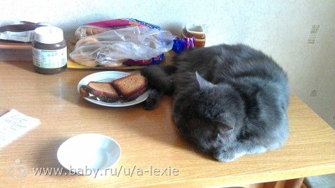 32 недельки пузику/ платьице для крошки на выписку/ немножко новостей