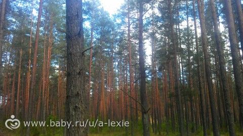 32 недельки пузику/ платьице для крошки на выписку/ немножко новостей