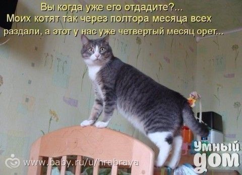 ржу не могу картинки онлайн ржу не могу картинки