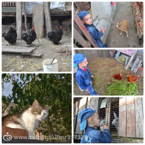 Дачный отдых и поездка в очень интересное место (боооольшой фотопост)