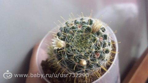 скажите, как его зовут)