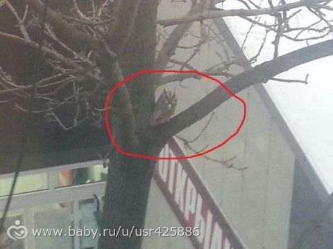 В новый год с новыми эмоциями..))