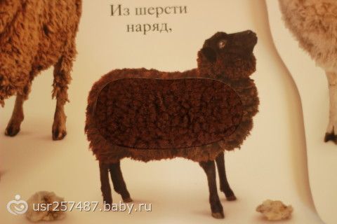 Великолепное пополнение))