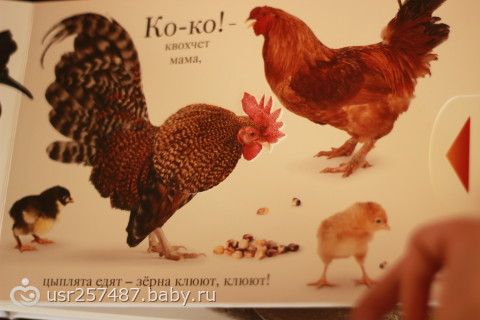Великолепное пополнение))