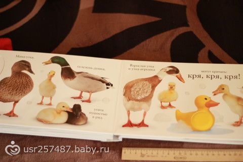 Великолепное пополнение))