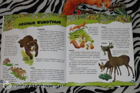 у нас пополнение))