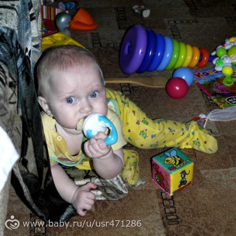 Ниблер!)