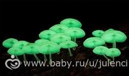 Вопросы только вег -девушкам???