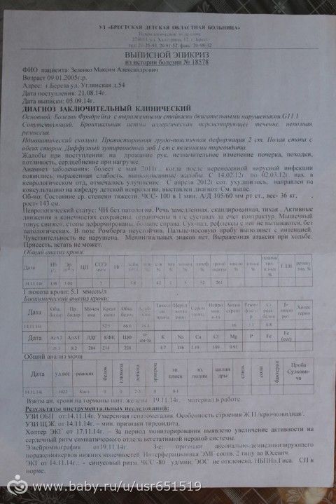 Зелёнко Максим, срок сбора средств - до 20 мая 2015 года