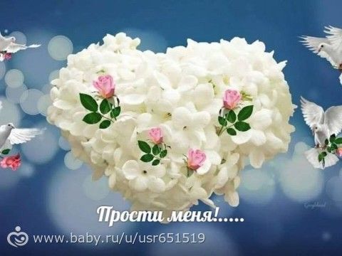 Прошу у всех прощения!