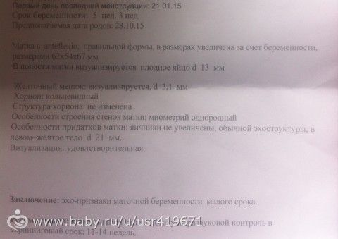 Первое УЗИ