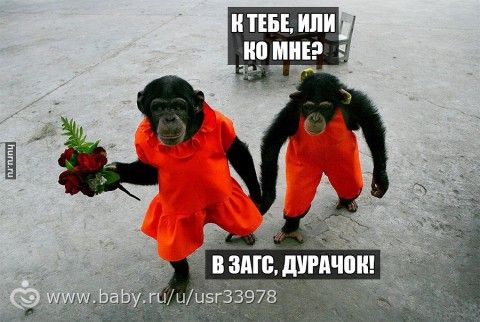 Посмеёмся?