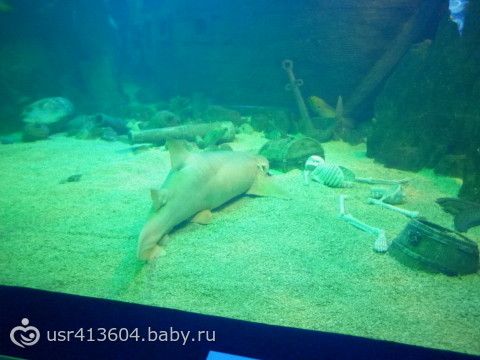 Мое &quot;Путешествие туда и обратно или отчет о поездке к морю&quot;.))) Часть 7. Как мы в Сочи ездили.