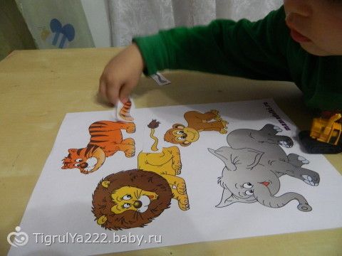 ТН &quot;Зоопарк&quot; 3 занятие