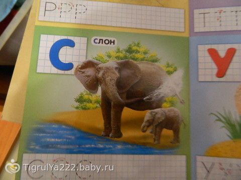 ТН &quot;Зоопарк&quot; 3 занятие