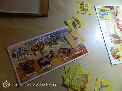 ТН &quot;Зоопарк&quot; 3 занятие