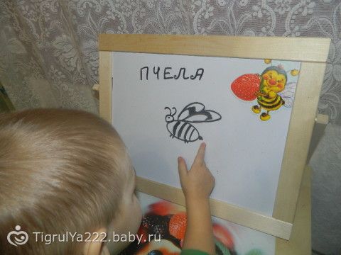 ТН &quot;Насекомые!&quot; Итоговый день
