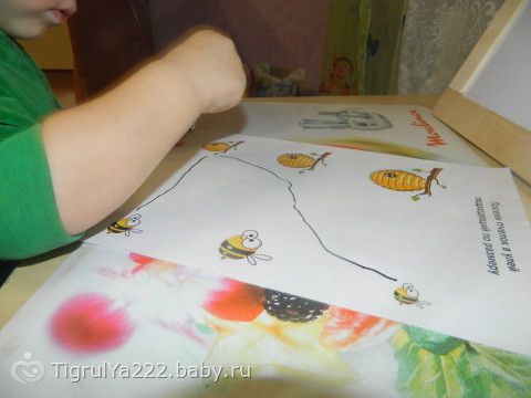 ТН &quot;Насекомые!&quot; Итоговый день