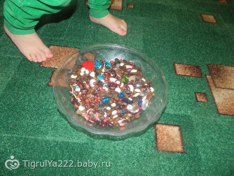 ТН &quot;Насекомые!&quot; Итоговый день