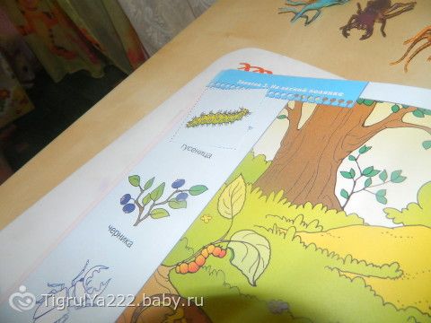 ТН &quot;Насекомые!&quot; Итоговый день